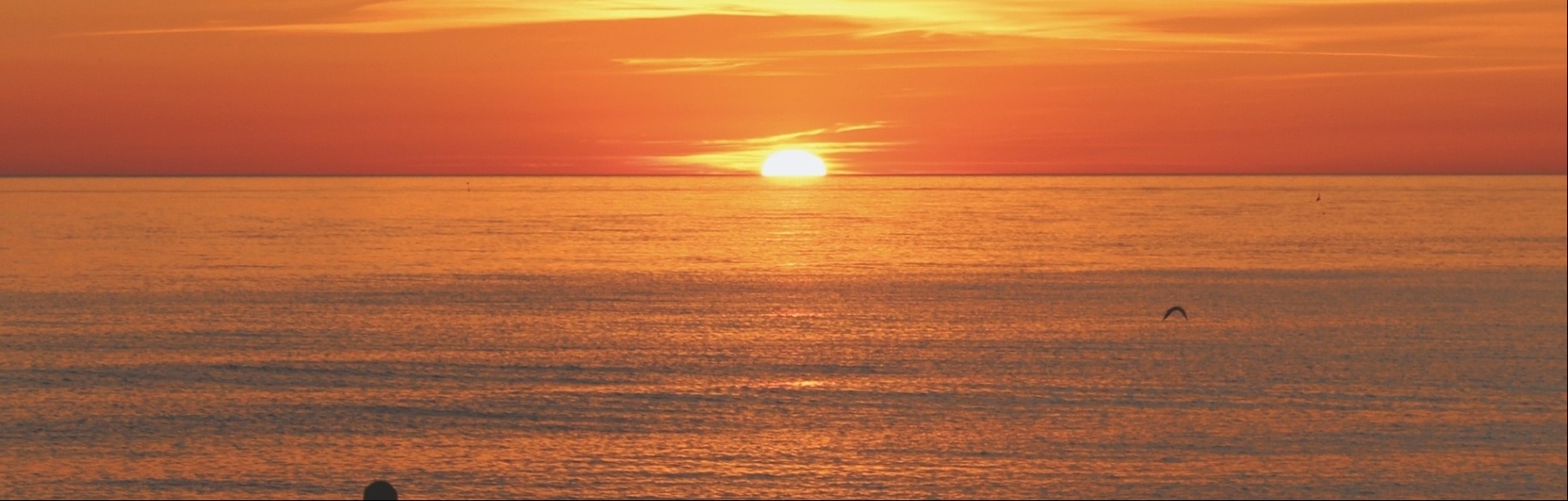 banner image